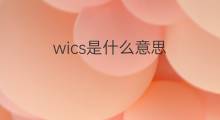 wics是什么意思 wics的中文翻译、读音、例句
