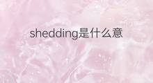 shedding是什么意思 shedding的中文翻译、读音、例句