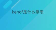 kenaf是什么意思 kenaf的中文翻译、读音、例句