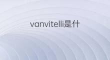vanvitelli是什么意思 vanvitelli的中文翻译、读音、例句