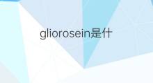 gliorosein是什么意思 gliorosein的中文翻译、读音、例句