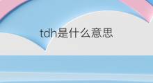 tdh是什么意思 tdh的中文翻译、读音、例句