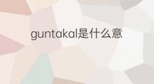 guntakal是什么意思 guntakal的中文翻译、读音、例句