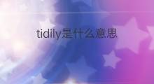 tidily是什么意思 tidily的中文翻译、读音、例句