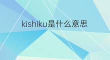 kishiku是什么意思 kishiku的中文翻译、读音、例句