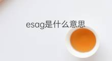 esag是什么意思 esag的中文翻译、读音、例句