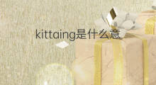 kittaing是什么意思 kittaing的中文翻译、读音、例句