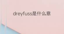 dreyfuss是什么意思 dreyfuss的中文翻译、读音、例句
