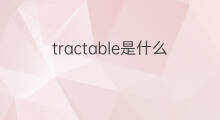 tractable是什么意思 tractable的中文翻译、读音、例句