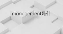 management是什么意思 management的中文翻译、读音、例句