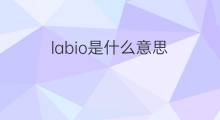 labio是什么意思 labio的中文翻译、读音、例句