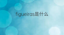 figueiras是什么意思 figueiras的中文翻译、读音、例句