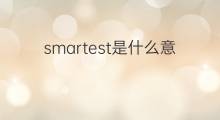smartest是什么意思 smartest的中文翻译、读音、例句