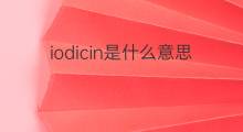 iodicin是什么意思 iodicin的中文翻译、读音、例句