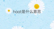 haat是什么意思 haat的中文翻译、读音、例句