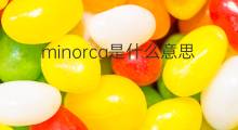 minorca是什么意思 minorca的中文翻译、读音、例句