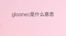 gloanec是什么意思 gloanec的中文翻译、读音、例句