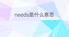 needs是什么意思 needs的中文翻译、读音、例句