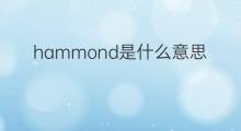 hammond是什么意思 hammond的中文翻译、读音、例句