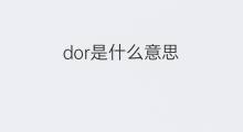 dor是什么意思 dor的中文翻译、读音、例句