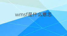 wmsf是什么意思 wmsf的中文翻译、读音、例句
