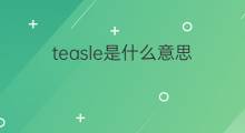 teasle是什么意思 teasle的中文翻译、读音、例句