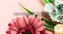 serew是什么意思 serew的中文翻译、读音、例句