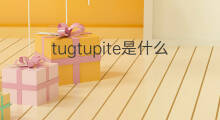 tugtupite是什么意思 tugtupite的中文翻译、读音、例句