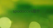 spadaccini是什么意思 spadaccini的中文翻译、读音、例句