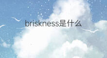 briskness是什么意思 briskness的中文翻译、读音、例句
