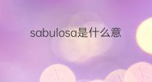 sabulosa是什么意思 sabulosa的中文翻译、读音、例句