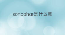sonbahar是什么意思 sonbahar的中文翻译、读音、例句