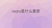 rears是什么意思 rears的中文翻译、读音、例句