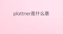 plattner是什么意思 plattner的中文翻译、读音、例句