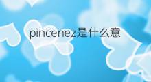 pincenez是什么意思 pincenez的中文翻译、读音、例句