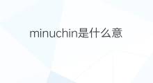 minuchin是什么意思 minuchin的中文翻译、读音、例句