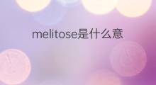 melitose是什么意思 melitose的中文翻译、读音、例句