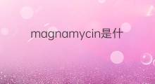 magnamycin是什么意思 magnamycin的中文翻译、读音、例句