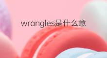 wrangles是什么意思 wrangles的中文翻译、读音、例句