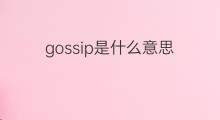 gossip是什么意思 gossip的中文翻译、读音、例句