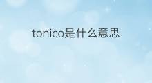 tonico是什么意思 tonico的中文翻译、读音、例句