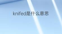 knifed是什么意思 knifed的中文翻译、读音、例句