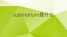 submarium是什么意思 submarium的中文翻译、读音、例句