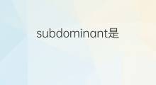 subdominant是什么意思 subdominant的中文翻译、读音、例句