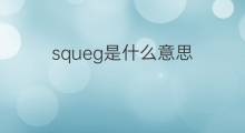 squeg是什么意思 squeg的中文翻译、读音、例句