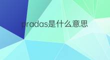 pradas是什么意思 pradas的中文翻译、读音、例句