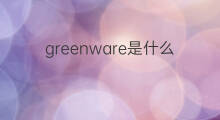 greenware是什么意思 greenware的中文翻译、读音、例句