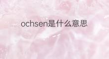 ochsen是什么意思 ochsen的中文翻译、读音、例句
