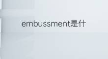 embussment是什么意思 embussment的中文翻译、读音、例句