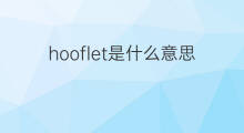 hooflet是什么意思 hooflet的中文翻译、读音、例句